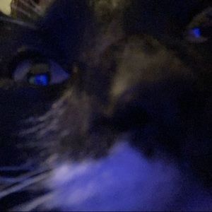 Meet your Posher, Sofia